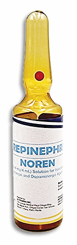 /philippines/image/info/noren-soln-for-inj-1-mg-ml/1-mg-ml-x-4-ml?id=dc698741-5472-4aab-aded-afa100f94641